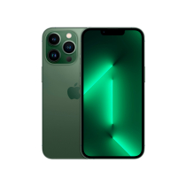 iPhone 13 Pro 128 GB groen (Grade B) (Margin VAT) (Refurbished)