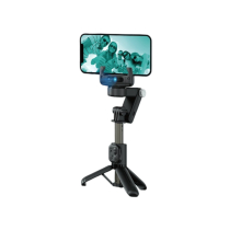 DEVIA selfiestick multifunctioneel (zwart)