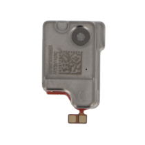 Oorspeaker Pixel 10