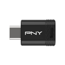 PNY USB-C-stick 3.2 Elite-X 256 GB