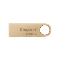 KINGSTON USB-stick DTSE9 G3 256 GB