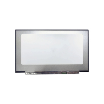 LED-paneel 17.3" - 1920x1080 - 30 pinnen rechts (mat)