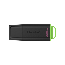 KINGSTON USB-stick Exodia G2 256 GB