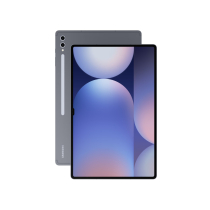 Samsung Galaxy Tab S10 Ultra 14.6" 256 GB grijs (Grade C) (wifi)