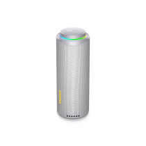 TRONSMART T8 O3020 luidspreker Bluetooth (grijs)